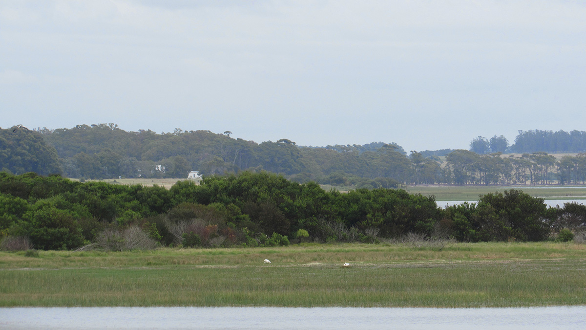 Laguna Garzon