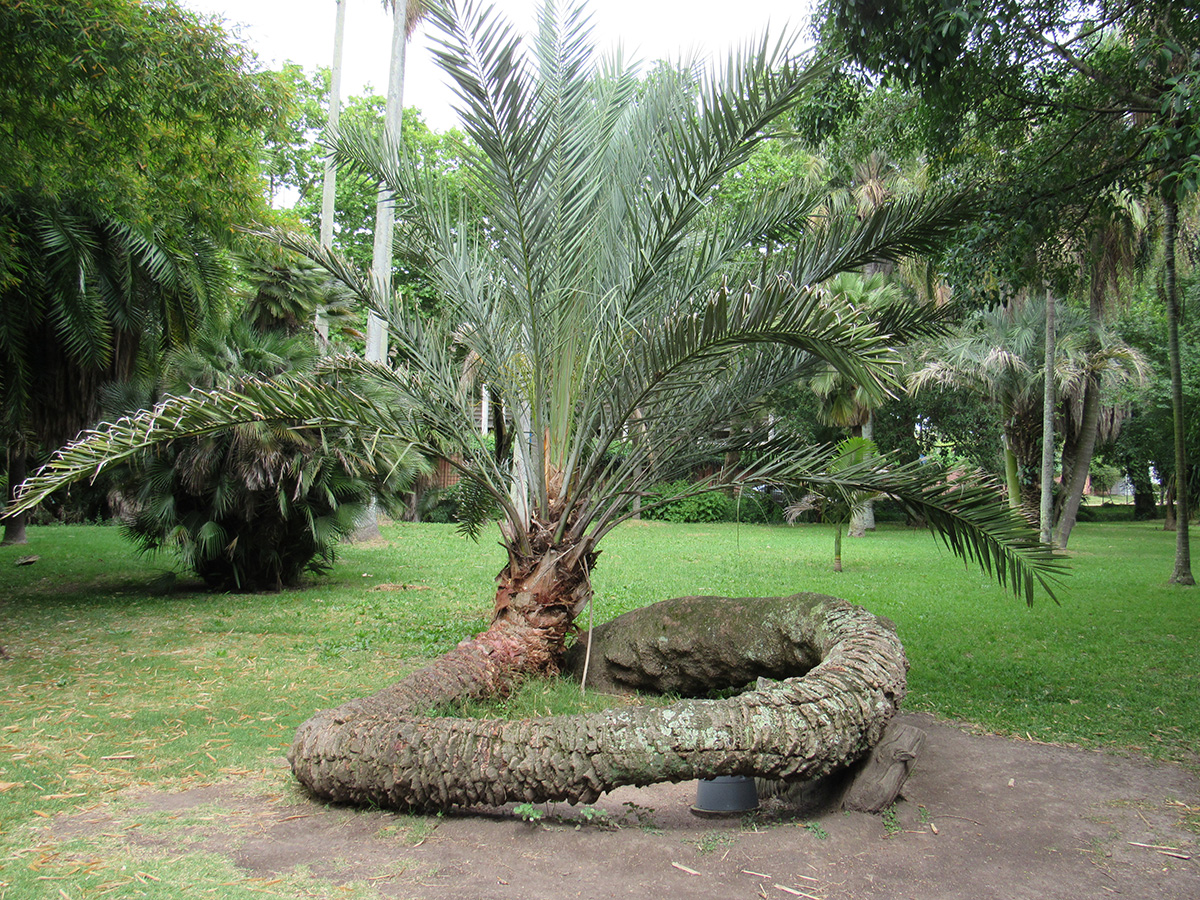 Jardim Botânico