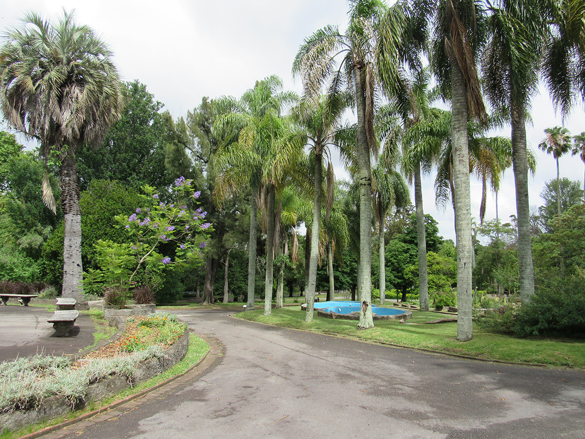 Jardim Botânico