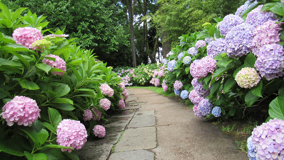 Jardim Japonês