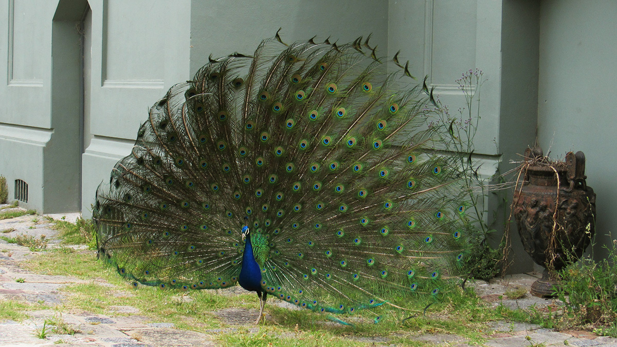 Zoológico Villa Dolores
