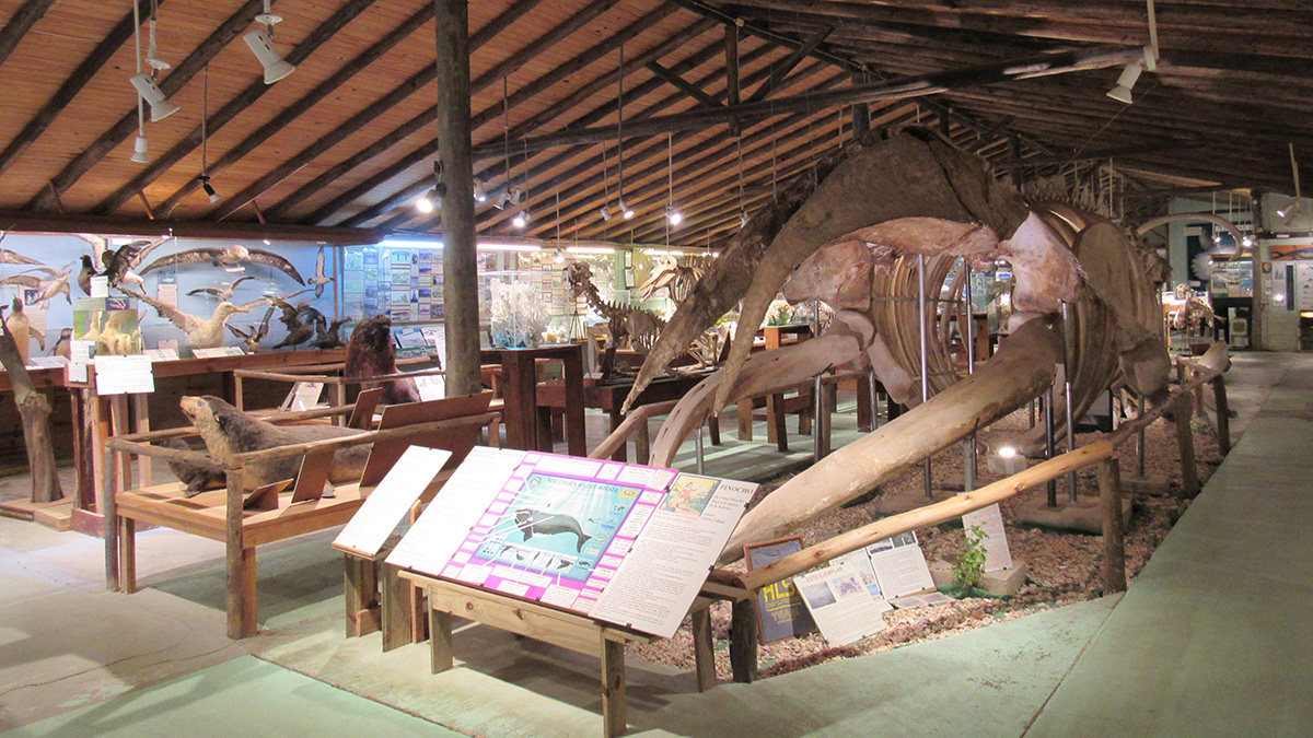 Museu do Mar
